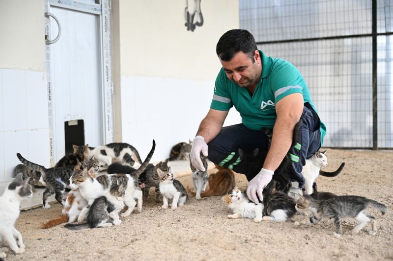 MERSİN BÜYÜKŞEHİR’DEN CAN DOSTLARA KAPSAMLI HİZMET