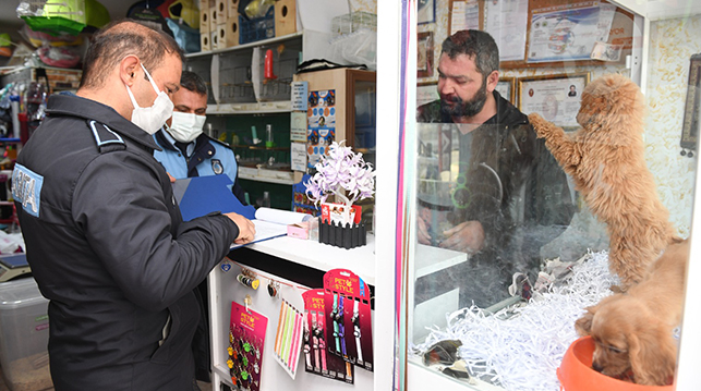 Yenişehir zabıtasından petshoplarda denetim