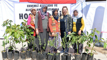 Erdemli’ye avokado ve alıç fidanı desteği