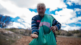 Gülnar’da atalık tohumlar toprakla buluştu