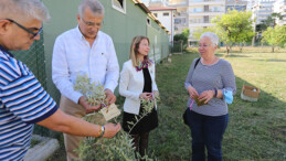 Tarhan adına zeytin fidanı dikildi