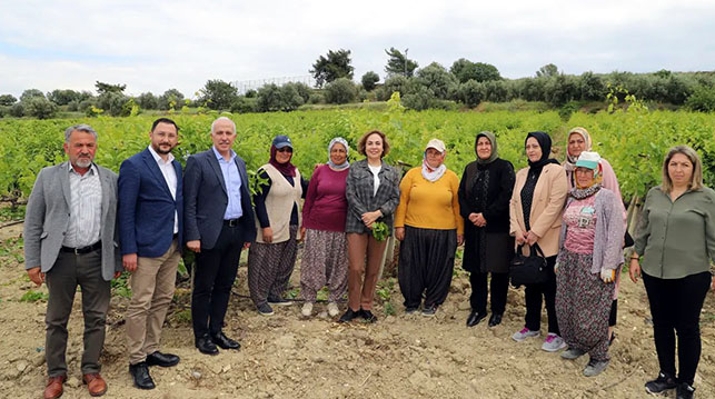 ÇİFTÇİLERE, SEMİNER VERİLECEK