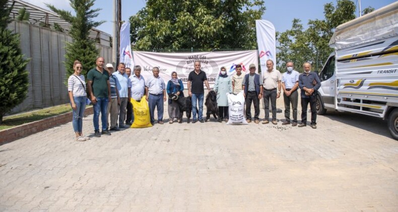 ANAMUR VE AYDINCIKLI YETİŞTİRİCİLERE  100 KÜÇÜKBAŞ HAYVAN DESTEĞİ