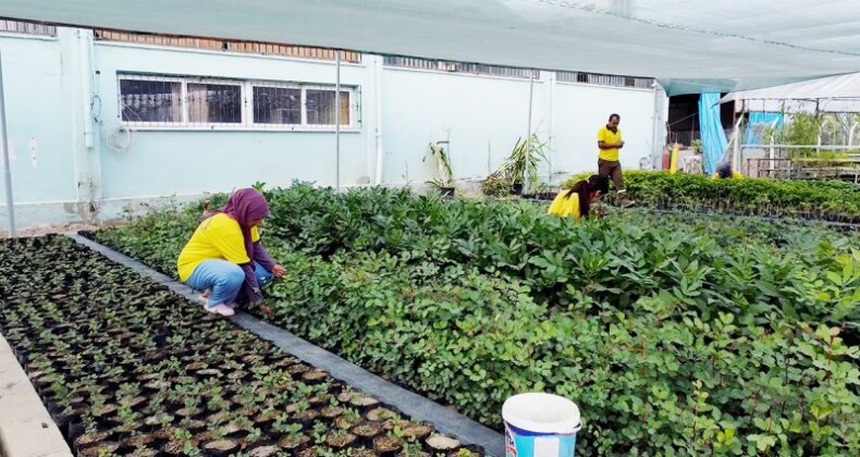 Tarsus Belediyesi üretiyor, çiftçi kazanıyor