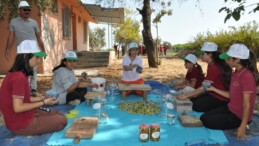 Zeytin toplayıp satarak  okullarına katkı sunacaklar