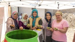 Cevizleri makine soyuyor, üretici rahatına bakıyor