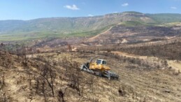 GÜLNAR’DA YANAN ORMANLIK ALANLARDA AĞAÇLANDIRMA ÇALIŞMALARINA BAŞLANDI