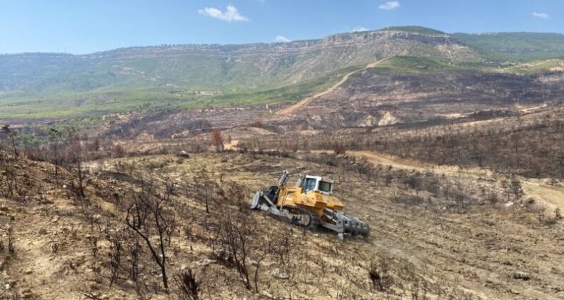 GÜLNAR’DA YANAN ORMANLIK ALANLARDA AĞAÇLANDIRMA ÇALIŞMALARINA BAŞLANDI