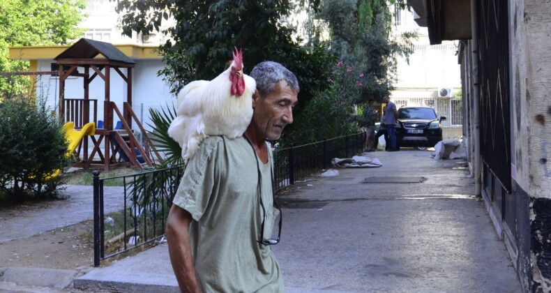 Gören dönüp bir daha bakıyor