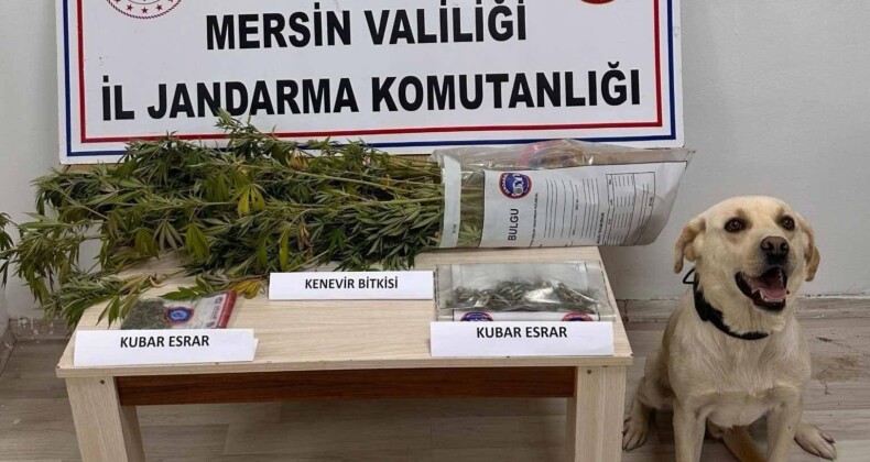 Mersin’de uyuşturucu operasyonları: 7 gözaltı