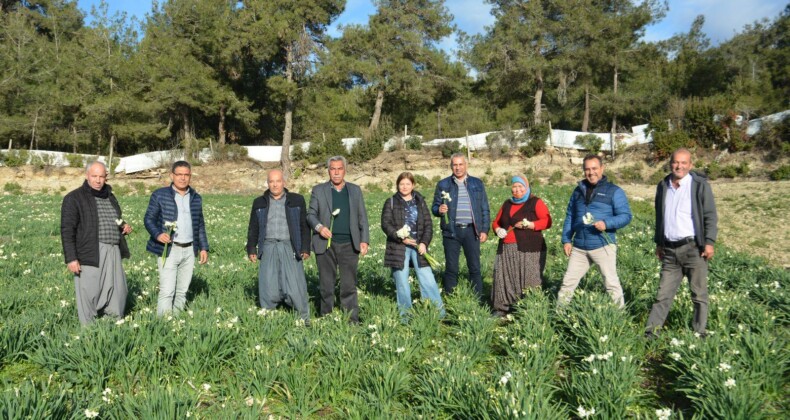 Nergis Festivali hazırlıkları sürüyor