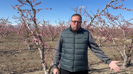 Zirai Don Akdeniz’i Vurdu